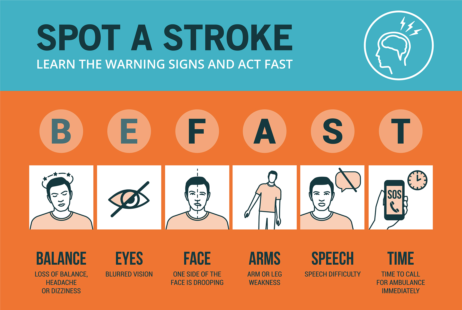 Understanding Stroke Educational Chart Poster Posters